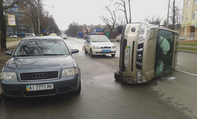 В Киеве кот стал причиной ДТП