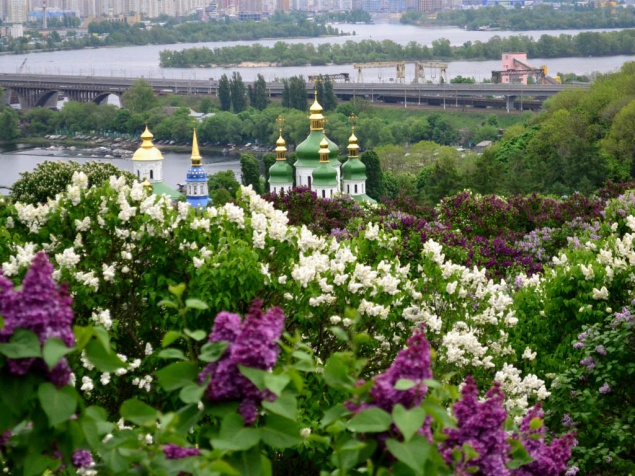 Во время реконструкции забора столичного ботанического сада строители нашли гранату