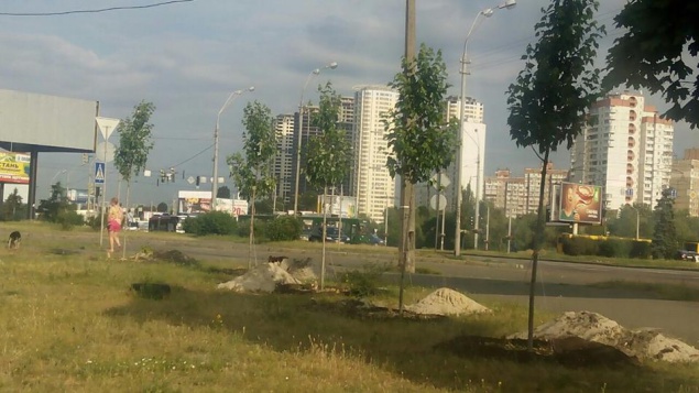 Жительница столицы на свой день рождения подарила Киеву 27 деревьев