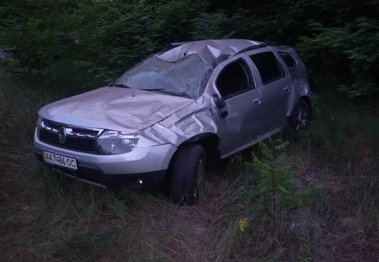 На Киевщине иномарка на полном ходу столкнулась с лосем (ФОТО)