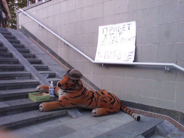 Погода в Киеве и Киевской области на среду, 29 июля 2015 года