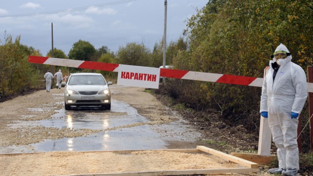 В Борисполе объявлен карантин из-за бешенства