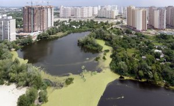 Киевлян приглашают принять участие в обсуждении проекта мостика на озере Жандарка