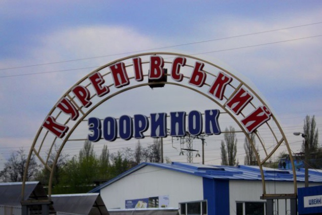Защитники животных нажаловались в полицию на продавцов Куреневского зоорынка
