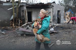 Окупанти зруйнували собачий притулок у Запоріжжі: 8 тварин загинули, понад 20 отримали поранення (фото)
