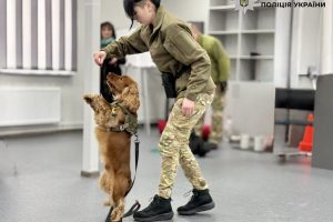 Столичний поліцейський пес Кокос склав іспит із каністерапії (фото)