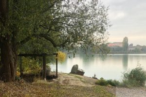 Саливонківське водосховище: прокуратура заявила про "реальне" повернення громаді землі водфонду Київщини