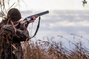 Зоозахисники просять Кабмін не допустити встановлення державного свята «День мисливства»