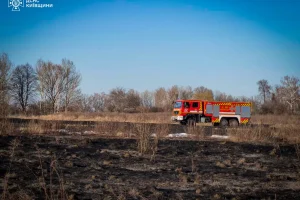 На Київщині впродовж доби ліквідовували пожежі в екосистемах у Білоцерківському та Броварському районах