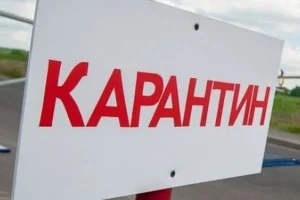 У Пристоличній громаді запровадили двомісячний карантин через випадок сказу