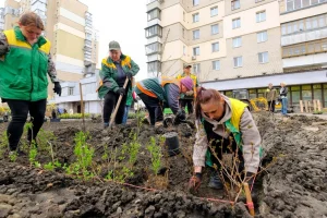 Комунальники створили зелений простір на проспекті Повітряних Сил замість знесених МАФів (фото)