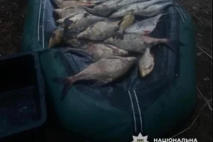 На Вишгородщині браконьєри виловили риби на 100 тис гривень