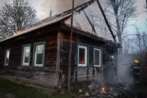 На Вишгородщині на пожежі загинула пенсіонерка