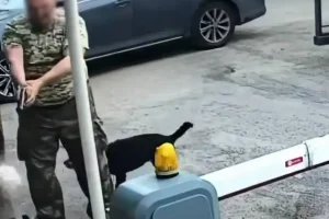 Поліція розслідує обставини озброєного конфлікту у Соломʼянському районі столиці