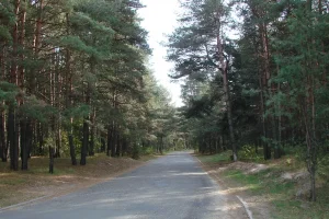 Побудову мережі ліхтарів за 25 млн гривень на Трухановому острові відклали